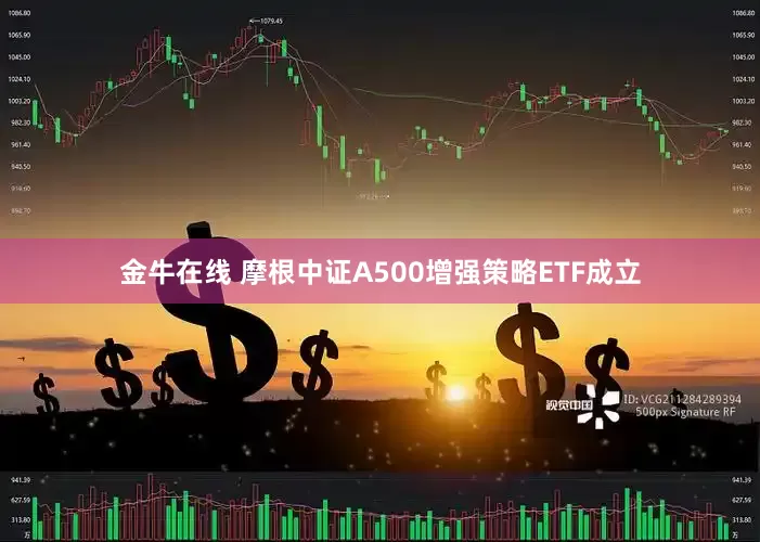 金牛在线 摩根中证A500增强策略ETF成立