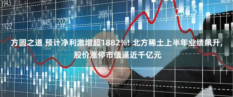 方圆之道 预计净利激增超1882%! 北方稀土上半年业绩飙升, 股价涨停市值逼近千亿元