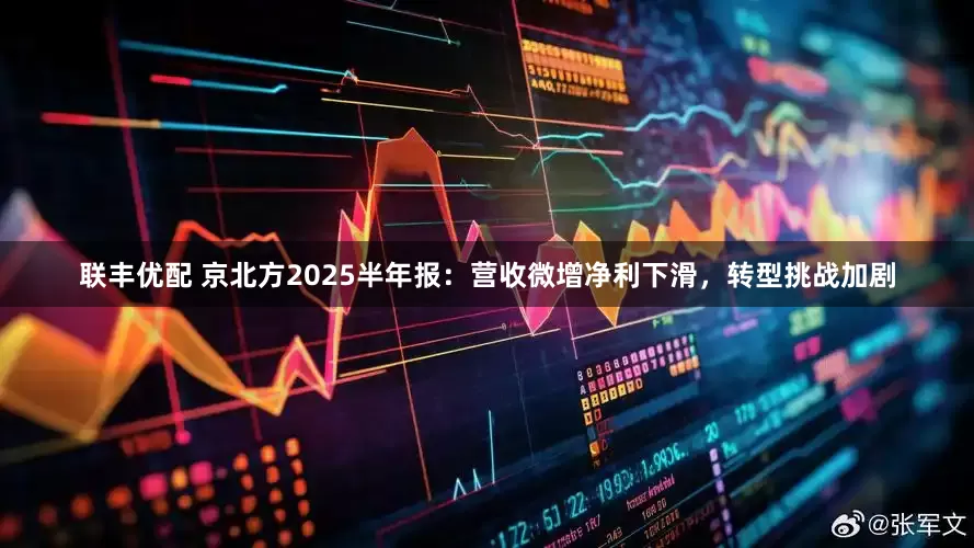联丰优配 京北方2025半年报:营收微增净利下滑,转型挑战加剧